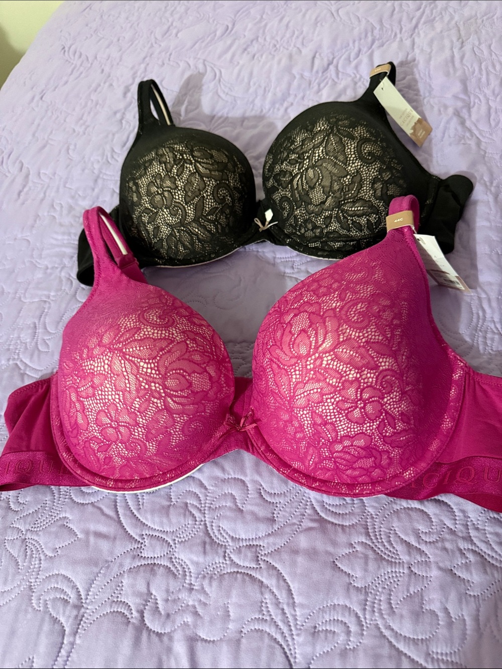 Cacique Lace Underwire Bras in Black and Fuchsia